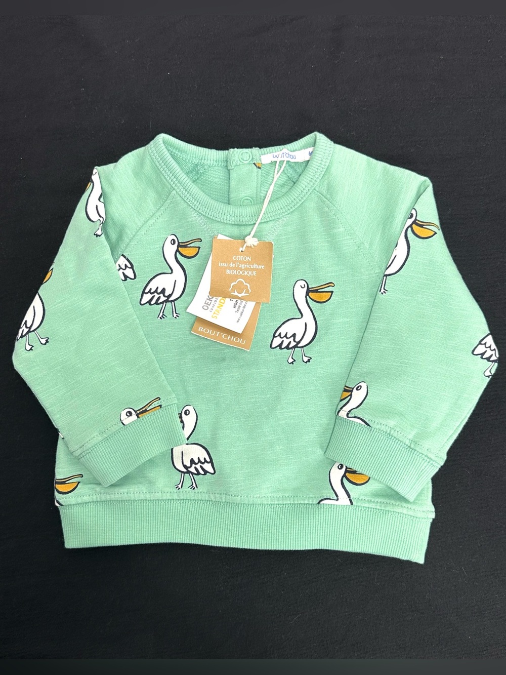 Bout’chou Mint Green Long Sleeve Pelican Print Sweatshirt NWT